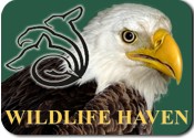 Wildlife Haven