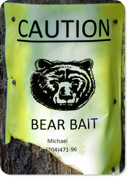 Bear baiting