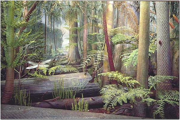 carboniferous period timeline