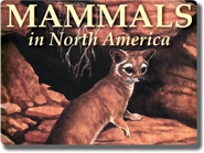 Mammals in North America