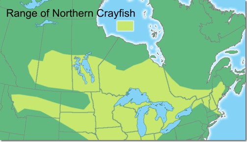 Range of Northern Crayfish