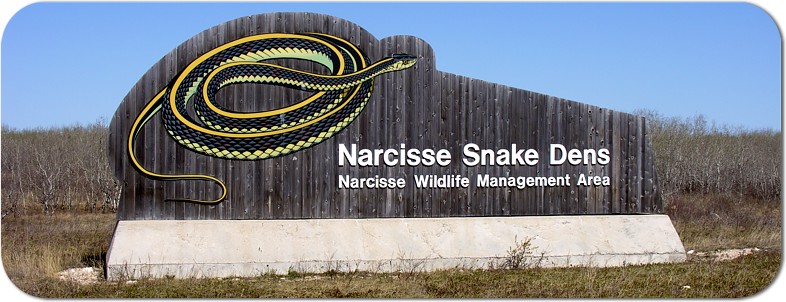 http://www.naturenorth.com/spring/creature/garter/New_Sign.jpg