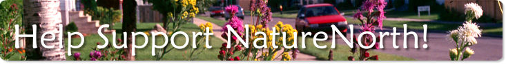 Support NatureNorth!