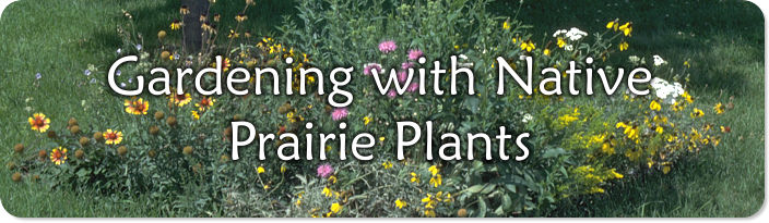 Gardening with Prairie Plants