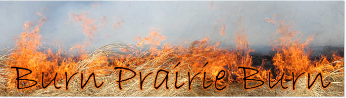 Burn Prairie Burn