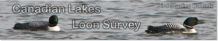 Loon Survey