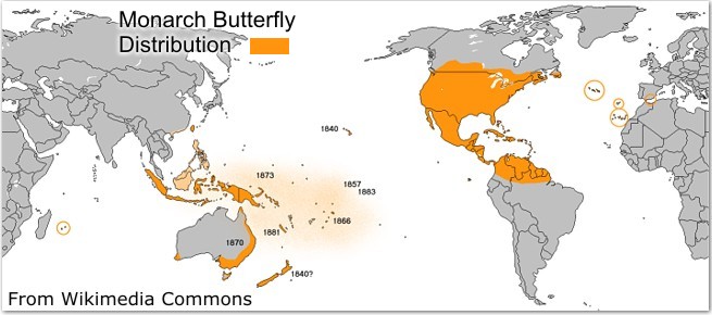 Monarch Butterfly Map