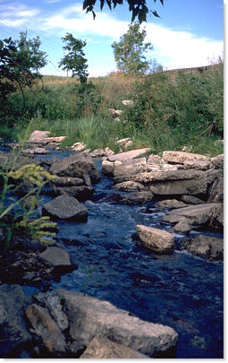 Omand's Creek
